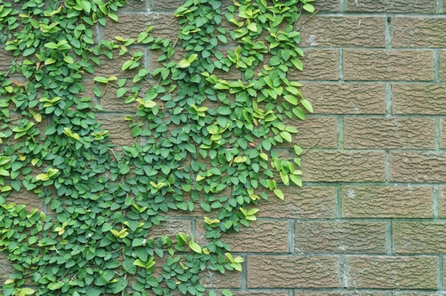 Kandıra’da Estetik ve Dayanıklı Bahçe Duvarı Uygulamaları – MKA İNŞAAT